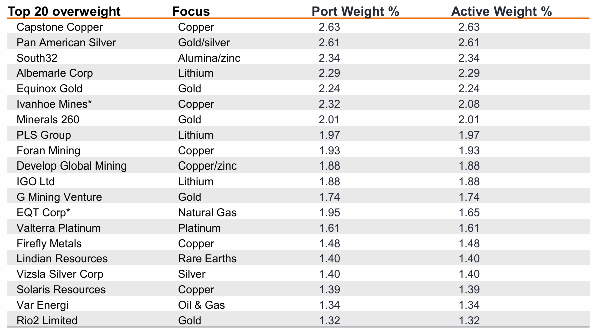Source: Janus Henderson Investors, as at 31 December 2025. *Indicates company is in the S&P Global Natural Resources Benchmark.
Note: References made to individual securities should not constitute or form part of any offer or solicitation to issue, sell, subscribe or purchase, and neither should be 
assumed profitable. Active weight reflects over/under relative to the Index.