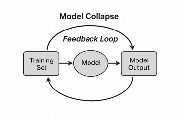 Diagram of AI model collapse. Source: Medium