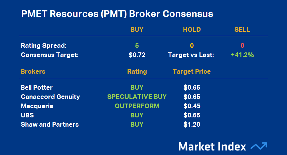 Patriot Battery Metals (PMT) is the most highly rated ASX lithium stock
