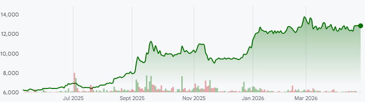 Iwabuchi Corp 1-year performance. (Source: Google Finance)