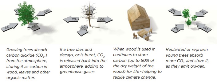 Source: Wood Solutions Australia