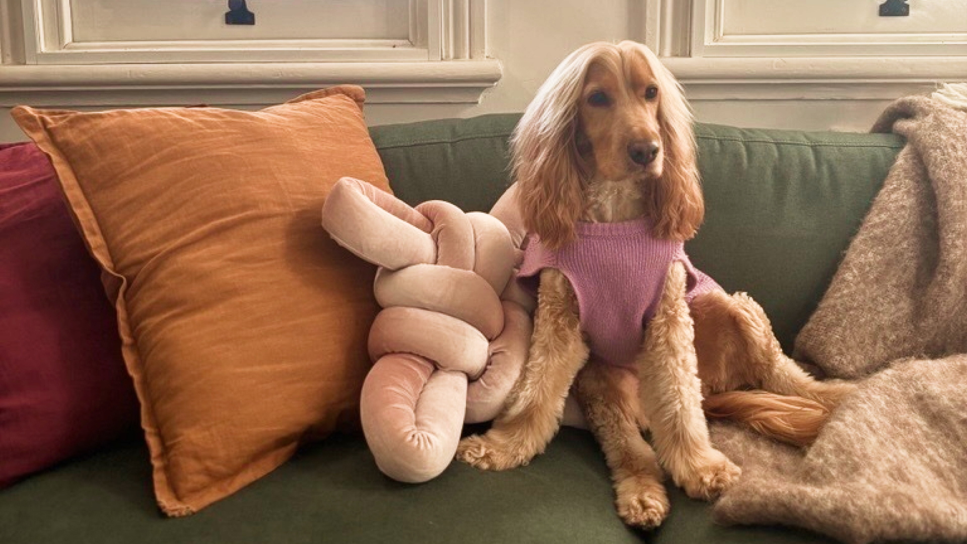 Anna Milne's dog, Millie