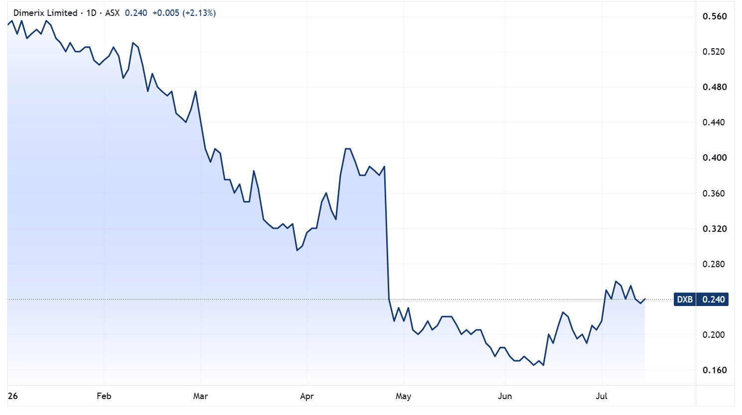 Dimerix's year-to-date performance. Source: TradingView.
