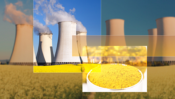 Uranium at record prices: The supply crunch that refuses to go away