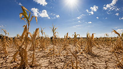 El Niño and the ASX: the stocks set to win and lose