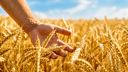 The commodities opportunity you might be missing (and 3 ASX stocks to get on board)
