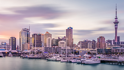 On the ground in New Zealand: Signs of improvement