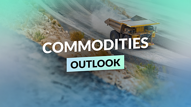 Ignore resources at your peril:
commodities are re-emerging
as a growth asset
