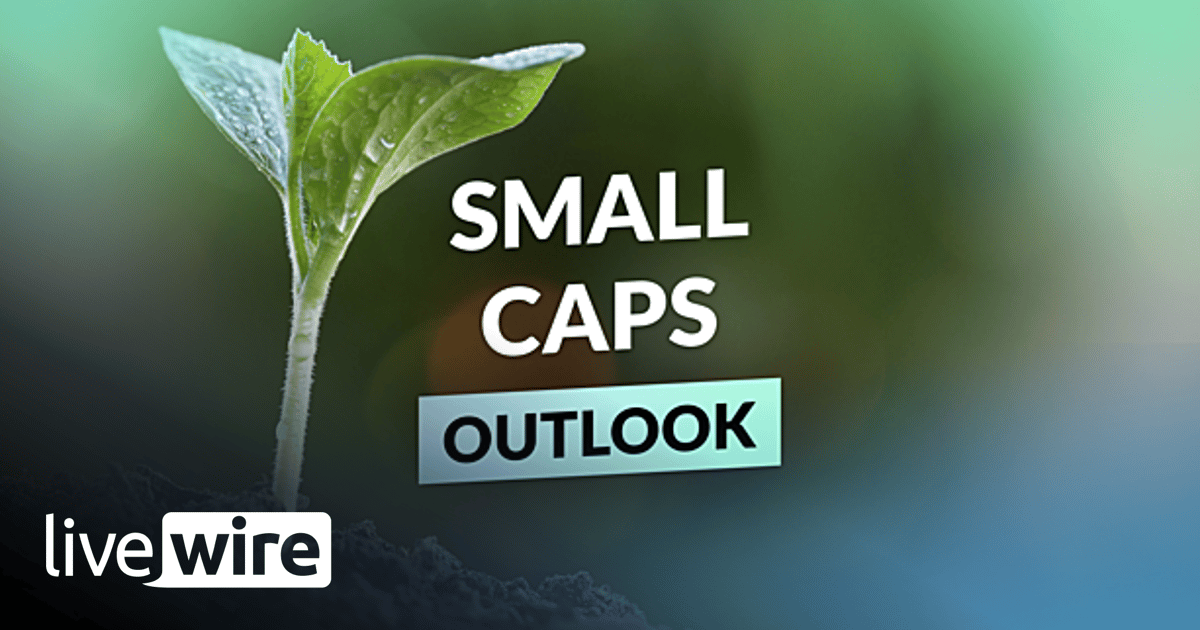 Small Caps surge ahead: Why 2026 could be a breakout year - Michael ...